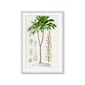 Picture of Palm Botanical _GroupedProduct_Rectangle_Portrait_Framed_Matted_