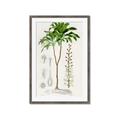 Picture of Palm Botanical _GroupedProduct_Rectangle_Portrait_Framed_Matted_