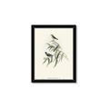 Picture of Paradlotus _GroupedProduct_Rectangle_Portrait_Framed_Matted_
