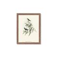 Picture of Paradlotus _GroupedProduct_Rectangle_Portrait_Framed_Matted_
