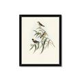 Picture of Paradlotus _GroupedProduct_Rectangle_Portrait_Framed_Matted_