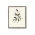 Picture of Paradlotus _GroupedProduct_Rectangle_Portrait_Framed_Matted_