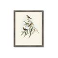 Picture of Paradlotus _GroupedProduct_Rectangle_Portrait_Framed_Matted_