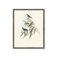 Picture of Paradlotus _GroupedProduct_Rectangle_Portrait_Framed_Matted_