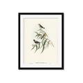 Picture of Paradlotus _GroupedProduct_Rectangle_Portrait_Framed_Matted_