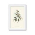 Picture of Paradlotus _GroupedProduct_Rectangle_Portrait_Framed_Matted_