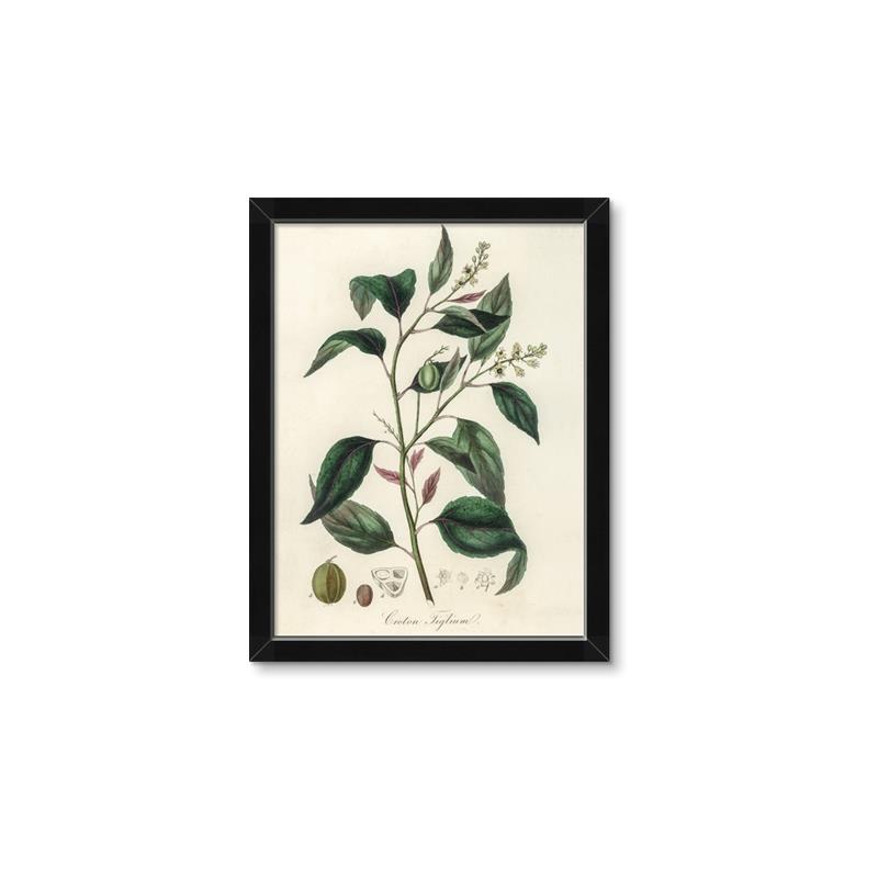 Picture of Tiglillum _GroupedProduct_Rectangle_Portrait_Framed_Matted_