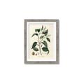 Picture of Tiglillum _GroupedProduct_Rectangle_Portrait_Framed_Matted_