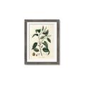 Picture of Tiglillum _GroupedProduct_Rectangle_Portrait_Framed_Matted_