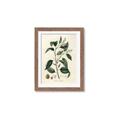 Picture of Tiglillum _GroupedProduct_Rectangle_Portrait_Framed_Matted_
