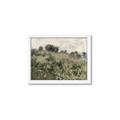 Picture of Silent Still _GroupedProduct_Rectangle_Landscape_Framed_Matted_