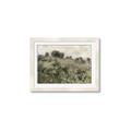 Picture of Silent Still _GroupedProduct_Rectangle_Landscape_Framed_Matted_