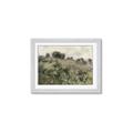 Picture of Silent Still _GroupedProduct_Rectangle_Landscape_Framed_Matted_