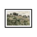 Picture of Silent Still _GroupedProduct_Rectangle_Landscape_Framed_Matted_