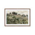 Picture of Silent Still _GroupedProduct_Rectangle_Landscape_Framed_Matted_