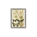 Picture of kaleidoscope _GroupedProduct_Rectangle_Portrait_Framed_Matted_
