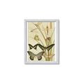 Picture of kaleidoscope _GroupedProduct_Rectangle_Portrait_Framed_Matted_