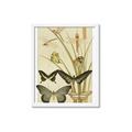 Picture of kaleidoscope _GroupedProduct_Rectangle_Portrait_Framed_Matted_