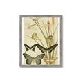 Picture of kaleidoscope _GroupedProduct_Rectangle_Portrait_Framed_Matted_