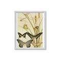 Picture of kaleidoscope _GroupedProduct_Rectangle_Portrait_Framed_Matted_