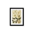 Picture of kaleidoscope _GroupedProduct_Rectangle_Portrait_Framed_Matted_