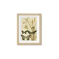 Picture of kaleidoscope _GroupedProduct_Rectangle_Portrait_Framed_Matted_