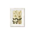 Picture of kaleidoscope _GroupedProduct_Rectangle_Portrait_Framed_Matted_