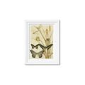 Picture of kaleidoscope _GroupedProduct_Rectangle_Portrait_Framed_Matted_