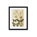 Picture of kaleidoscope _GroupedProduct_Rectangle_Portrait_Framed_Matted_
