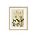 Picture of kaleidoscope _GroupedProduct_Rectangle_Portrait_Framed_Matted_