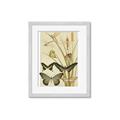 Picture of kaleidoscope _GroupedProduct_Rectangle_Portrait_Framed_Matted_