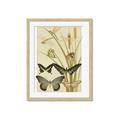 Picture of kaleidoscope _GroupedProduct_Rectangle_Portrait_Framed_Matted_