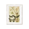 Picture of kaleidoscope _GroupedProduct_Rectangle_Portrait_Framed_Matted_