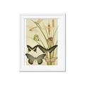 Picture of kaleidoscope _GroupedProduct_Rectangle_Portrait_Framed_Matted_