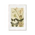 Picture of kaleidoscope _GroupedProduct_Rectangle_Portrait_Framed_Matted_