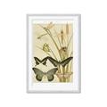 Picture of kaleidoscope _GroupedProduct_Rectangle_Portrait_Framed_Matted_