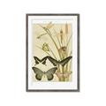 Picture of kaleidoscope _GroupedProduct_Rectangle_Portrait_Framed_Matted_