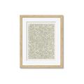 Picture of Fern Whirl _GroupedProduct_Rectangle_Portrait_Framed_Matted_
