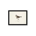 Picture of Parus _GroupedProduct_Rectangle_Landscape_Framed_Matted_