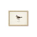 Picture of Parus _GroupedProduct_Rectangle_Landscape_Framed_Matted_
