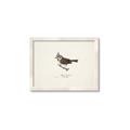 Picture of Parus _GroupedProduct_Rectangle_Landscape_Framed_Matted_