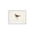 Picture of Parus _GroupedProduct_Rectangle_Landscape_Framed_Matted_
