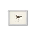 Picture of Parus _GroupedProduct_Rectangle_Landscape_Framed_Matted_