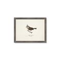 Picture of Parus _GroupedProduct_Rectangle_Landscape_Framed_Matted_