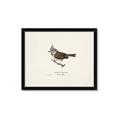 Picture of Parus _GroupedProduct_Rectangle_Landscape_Framed_Matted_