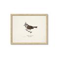 Picture of Parus _GroupedProduct_Rectangle_Landscape_Framed_Matted_