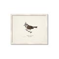 Picture of Parus _GroupedProduct_Rectangle_Landscape_Framed_Matted_