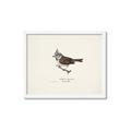 Picture of Parus _GroupedProduct_Rectangle_Landscape_Framed_Matted_