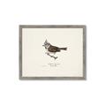 Picture of Parus _GroupedProduct_Rectangle_Landscape_Framed_Matted_