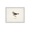 Picture of Parus _GroupedProduct_Rectangle_Landscape_Framed_Matted_